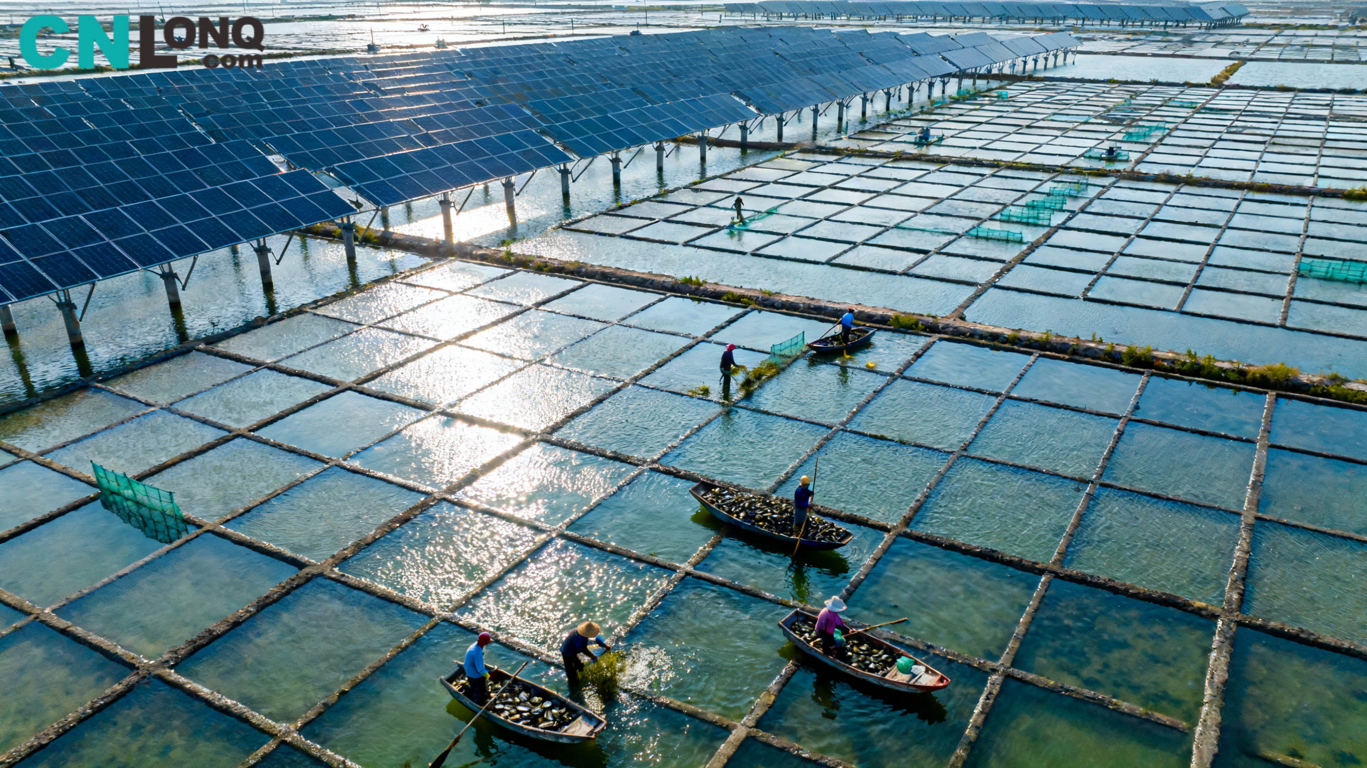 Celková investícia 1,2 miliardy RMB! Soľné pole Xindao Qingkou s výkonom 250 MW „Doplnkový projekt Fishery-Solar“